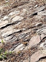 15 pictures - Stunning dark haired girl pees on the grass