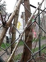 15 pictures - Dark haired girl pisses on a public path