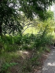 15 pictures - Cute babe rushes to beat her pee desperation