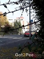 15 pictures - Shy girl needs to pee next to a busy road