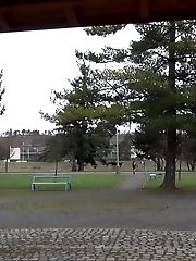 15 pictures - Naughty dark haired babe pees in a public park