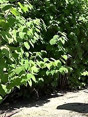 15 pictures - Pretty blonde squatting to pee in flip flops