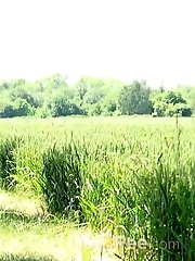 15 pictures - Blonde with plaited hair squats to piss outside