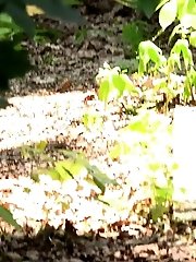 15 pictures - Gorgeous blonde pees on a bridge