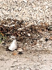 15 pictures - Petrol station pissing behind a big pillar