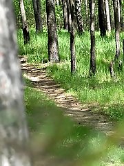 16 pictures - Young babe goes for a wee on an empty forest path
