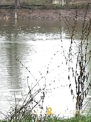 15 pictures - Hot brunette pisses into a flowing river
