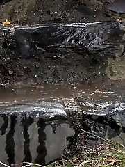 15 pictures - Bare pussy is on show in this outdoor peeing scene