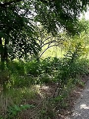 15 pictures - Cute babe rushes to beat her pee desperation