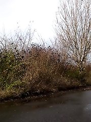 15 pictures - Sexy babe in glasses pisses in public