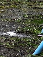15 pictures - Naughty dark haired babe pees in a public park