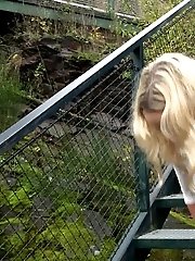 15 pictures - Gorgeous blonde is desperate to piss outside