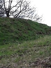 15 pictures - Shy teen pisses behind a parked car on the grass