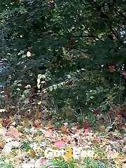 15 pictures - Brunette teen pees in front of passing traffic