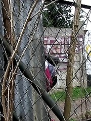 15 pictures - Dark haired girl pisses on a public path