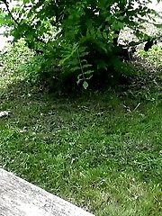 15 pictures - Public pissing for black haired babe in shorts