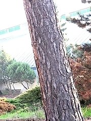 15 pictures - Gorgeous girl makes a mess on the floor